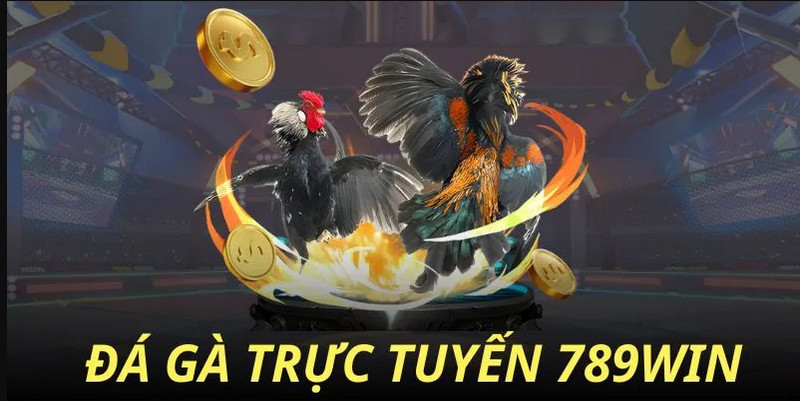 da-ga-789win-truc-tuyen