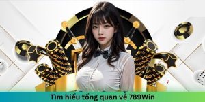 Tìm hiểu tổng quan về 789Win